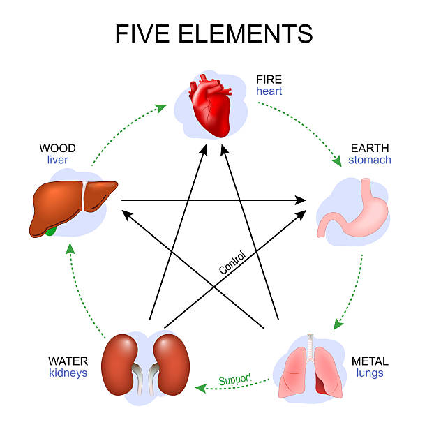 heart & liver health through acupuncture